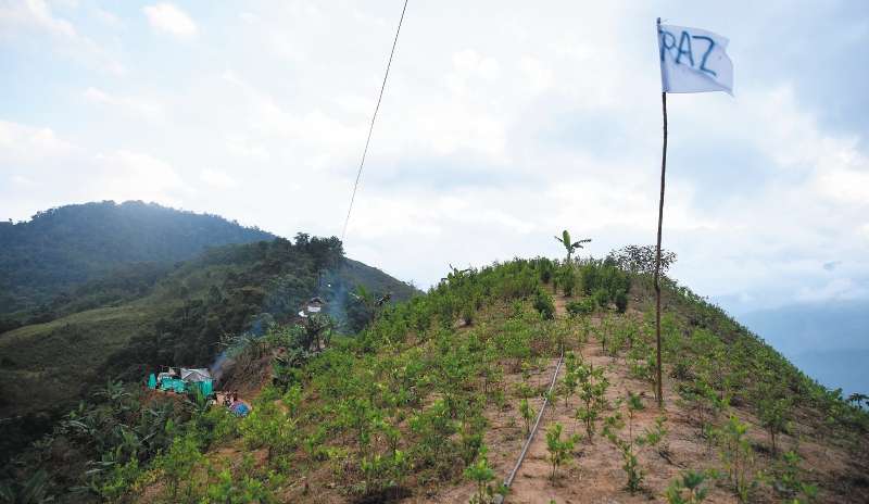 Asesinan en el Catatumbo a Yilbert Montaño, firmante del Acuerdo de paz