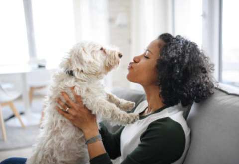 Estudio revela que los perros prefieren escuchar voces femeninas