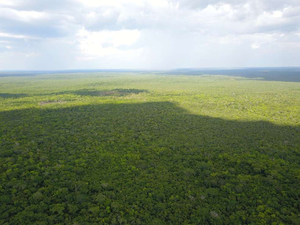 Guatemala: Manejar el bosque con justicia socialEn 1990, 2.1 millones de hectáreas de bosques tropicales se declararon como parte de la Reserva de la Biósfera Maya.Foto: Archivo Cooperativa Carmelita.En la zona del Petén, hace poco más de 20 años, un grupo de comunidades se organizó para forjar su futuro. Cuando en 1990, el gobierno guatemalteco declaró 2.1 millones de hectáreas de bosques tropicales como Reserva de la Biósfera Maya, esas comunidades estaban en riesgo de ser expulsadas del lugar y quedarse sin opciones de trabajo.