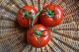 Aprende sobre lo que comes: ¿Por qué el tomate es una fruta?