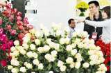 Flores colombianas, protagonistas en San Valentín