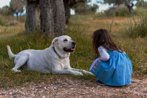 ¿Por qué mi perro siempre quiere estar conmigo?