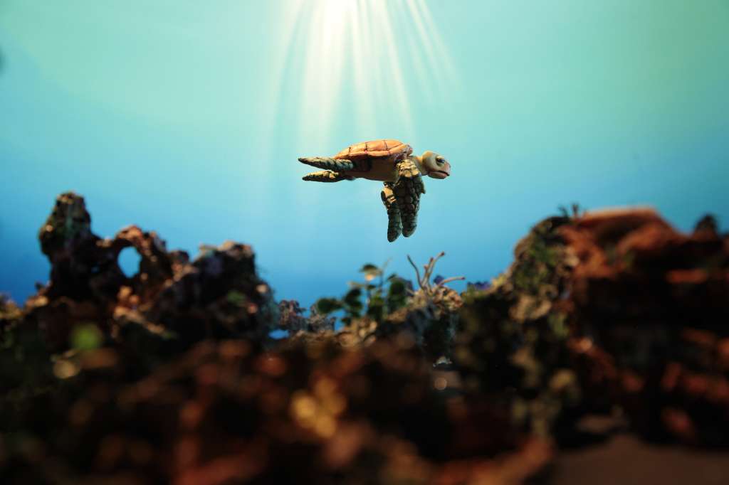 Fotograma de "La tortuga de plástico", cortometraje colombiano dirigido por Miguel Gómez León y Claudia Osejo.