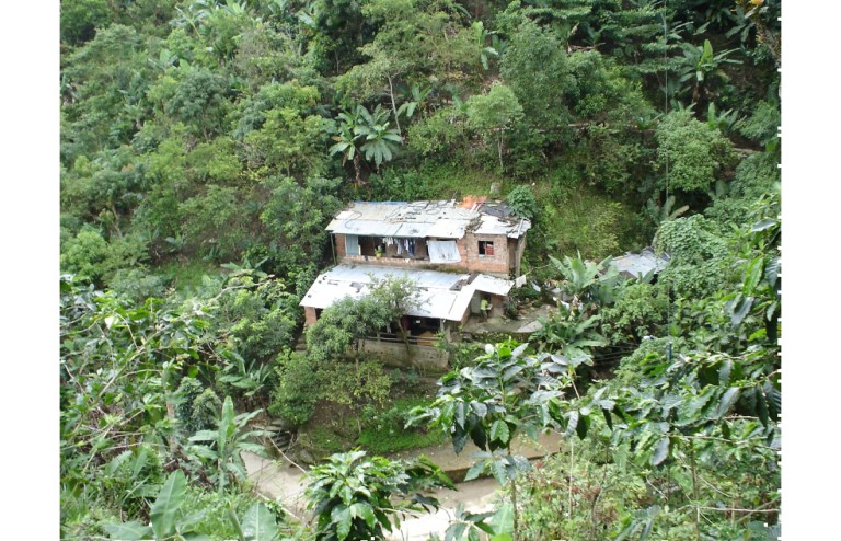 Desde el campo dicen que las madres han empezado a perder el miedo (Diario de la peste, de Gonçalo M. Tavares)