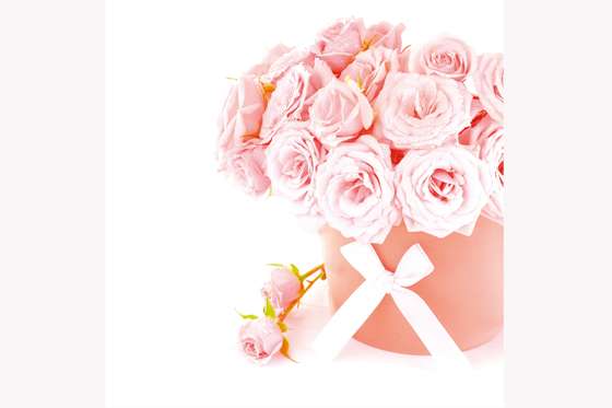 11 Curiosidades sobre el color rosa