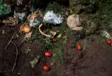 Lanzan campaña contra el desperdicio de 348.000 toneladas de comida al año en América Latina