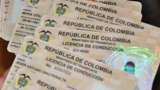 Licencia de conducción: ¿quiénes deben renovarla en diciembre con pico y cédula?