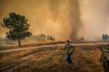 En fotos: sequía, incendios y personas evacuando. Así se ve el verano en Europa