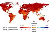 El mapa que muestra dónde están y cómo se expandirán los microbios más nocivos para las plantas