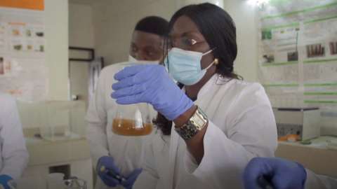 Investigadora desarrolla pesticida orgánico que promete erradicar la malaria