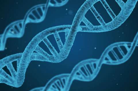Científicos encuentran ADN prehistórico sin osamentas ni fósiles