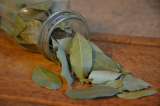 Cómo hacer un baño con laurel para abrir los caminos de la suerte y el dinero