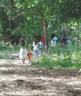 Cuatro historias sobre los crímenes de las Farc contra indígenas en la Amazonía y Orinoquía