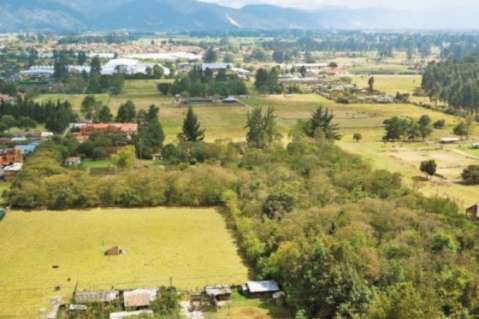 Proponen consulta popular en Bogotá para definir futuro de Reserva Van Der Hammen