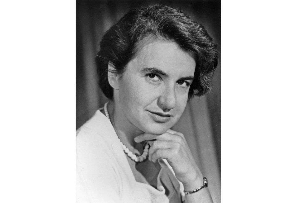 La química murió cuatro años antes de que se entregara el Premio Nobel.