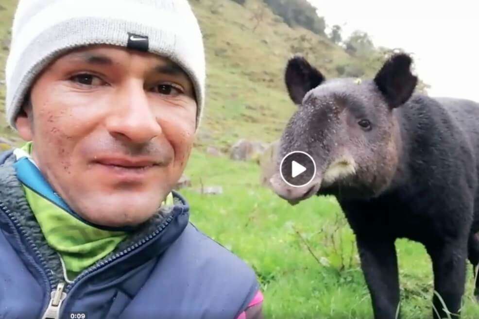Imagen tomada del video publicado en Facebook por Jose Alberto Castro Arango.