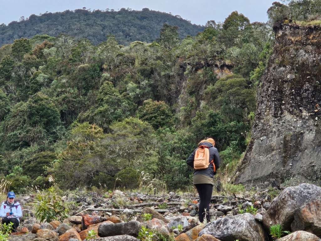 El II Congreso Internacional de Senderismo y Montaña Colombia 2025 reunirá a expertos nacionales e internacionales en Pereira para impulsar el turismo comunitario, el desarrollo sostenible y la regulación del montañismo en Colombia.