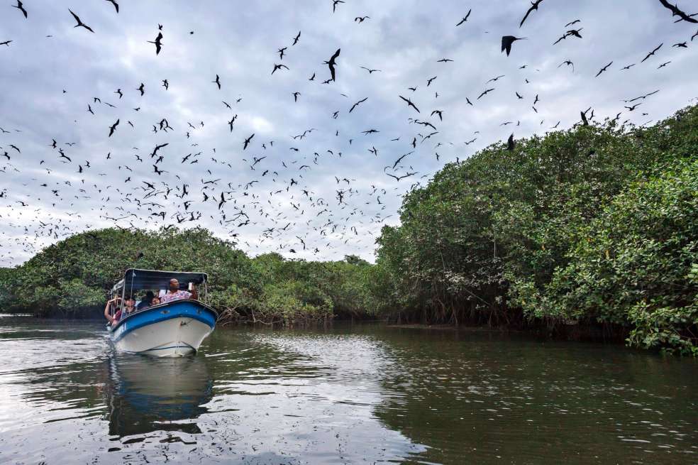 Bocagrande, Tumaco, Nariño