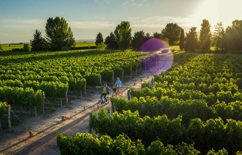 Mendoza, Argentina, un destino de vinos, lujo y placer al alcance de todos.