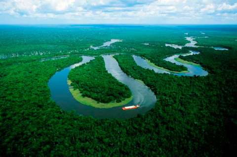 Desaparición de bosques inundados amenaza la pesca en Amazonas