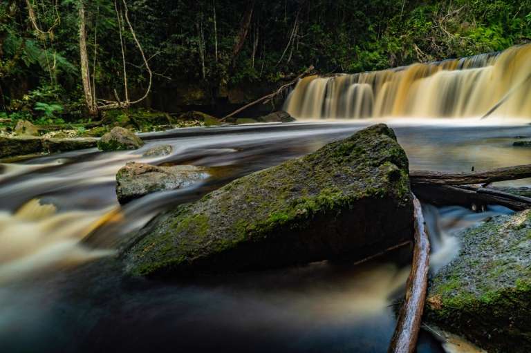 Las actividades humanas en la Amazonia no solo significan la pérdida de una riqueza natural incomparable, sino también la liberación de toneladas de CO2 a la atmósfera y la reducción de la capacidad del bosque para absorber gases de efecto invernadero.