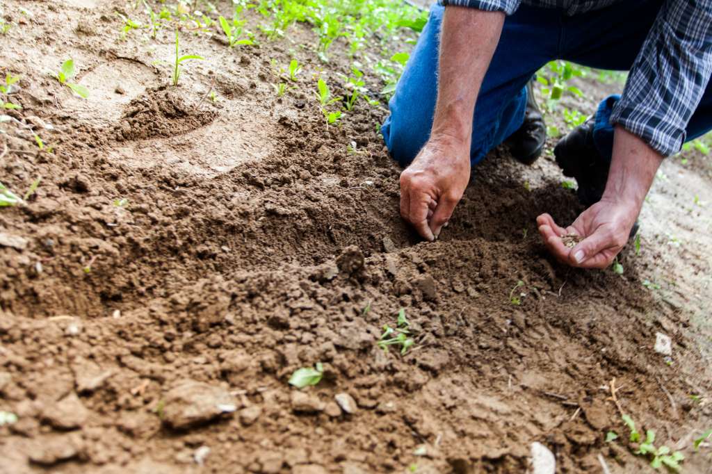Agromarketing digital