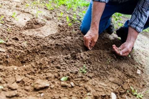 El emprendedor que aumenta la visibilidad de los productores del agro colombiano