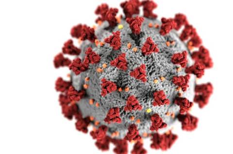 "Es improbable que el coronavirus haya surgido en un laboratorio": científicos