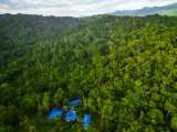 ¿Puede la conservación comunitaria salvar el bosque del Alto Sinú?