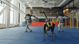 En video: los robots que bailan con un ritmo impresionante