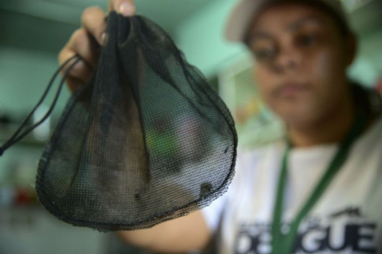 “El zika no se terminó en el país, podría darse un rebrote del virus”: Viceministro de Salud