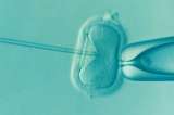 Médicos que usaron su propio semen en inseminación artificial escandalizan a EE.UU