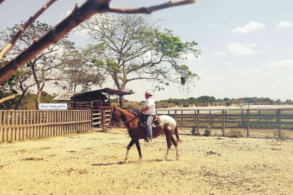 “La música llanera alborota los sentidos y hace que la gente que nunca la ha oído no la olvide jamás”, dice el “Cholo” Valderrama mientras recorre su hacienda a caballo. / Cortesía Teatro Mayor