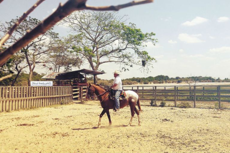 Descubrir una tierra sin turupes