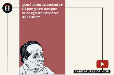 Director calificado