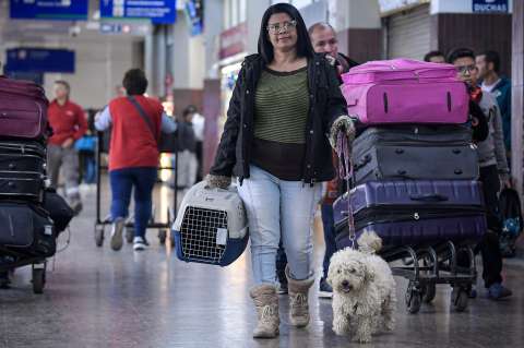 ¿Cómo viajar en bus con mi mascota en Colombia? Estos son los requisitos