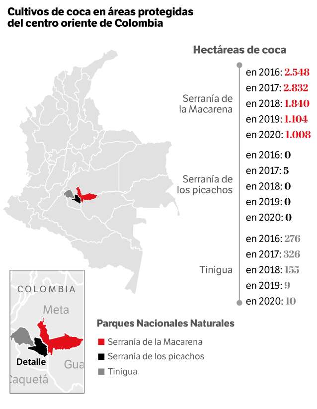Mapa de cultivos de coca