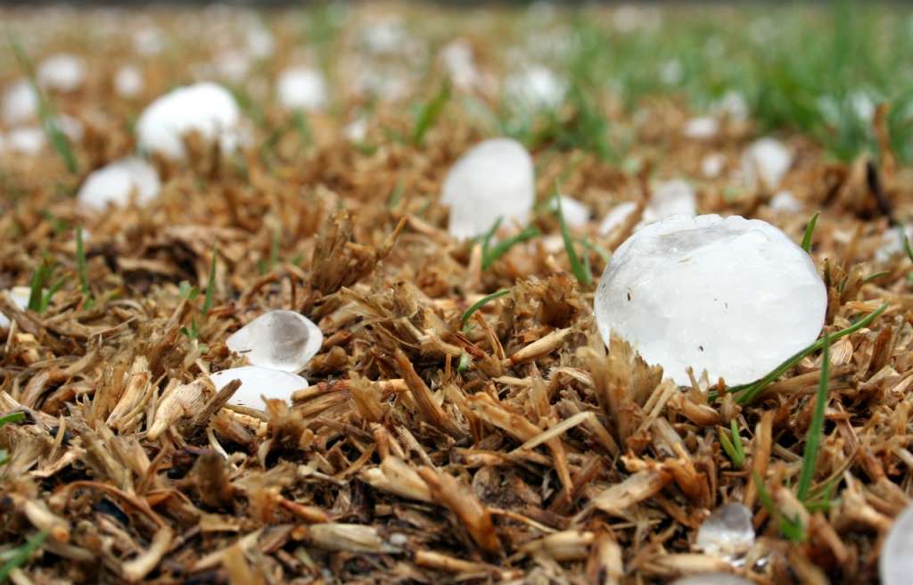 El tamaño de las piedras de los granizos no se registraba desde hace dos décadas.