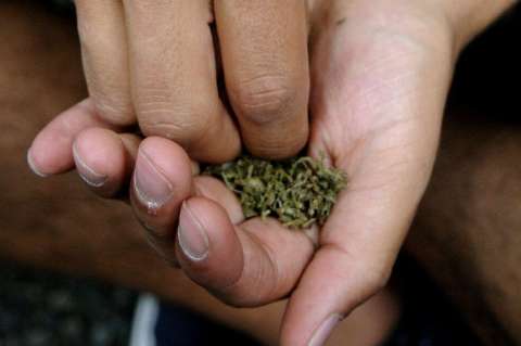 Oposición e independientes se la juegan por un giro en la política de drogas