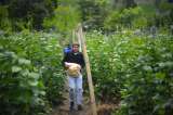 Minagricultura defiende ante la Corte la creación de las APPA para proteger suelos