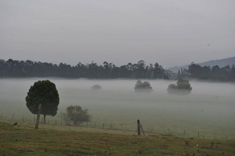 Del freno al ajuste: así cambió el nuevo proyecto ambiental para la Sabana de Bogotá