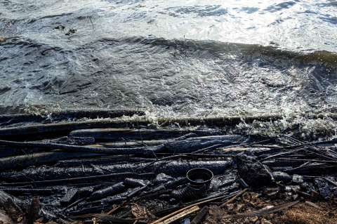 Una red de bancos reconoce que la destrucción de la naturaleza es un riesgo económico