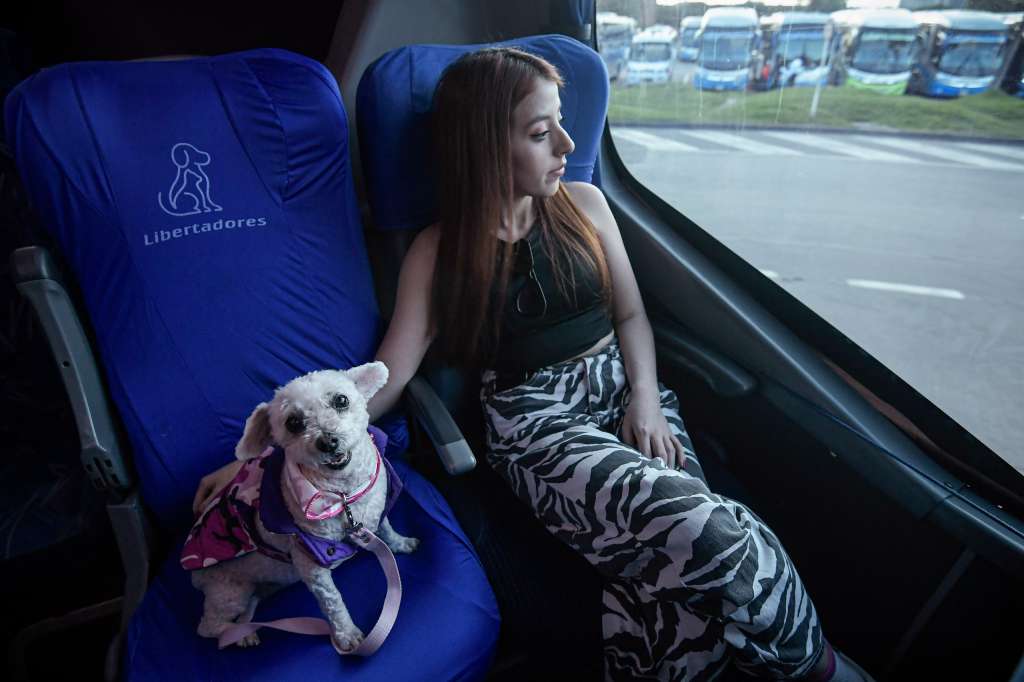 ¿Qué se debe hacer para viajar con mascotas en Colombia?