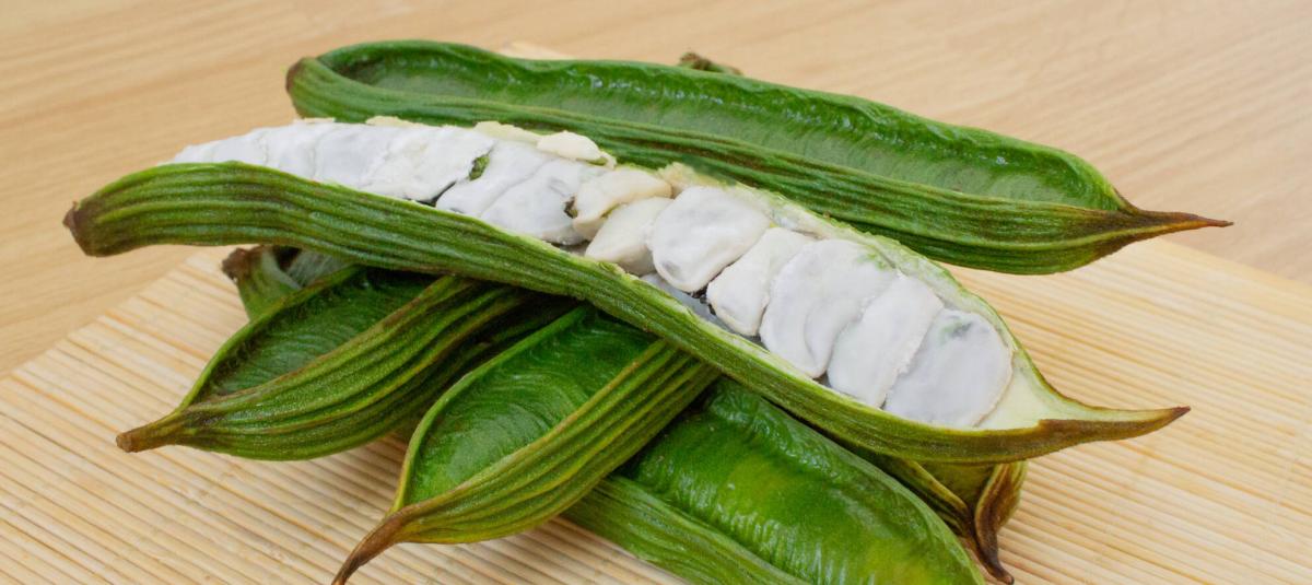 El guamo porta nutrientes esenciales: contiene fibra, proteínas, vitaminas A, B y C, además de minerales como hierro y calcio.
