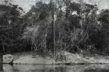Exposición analiza el paisaje y ecosistemas en relación con la violencia