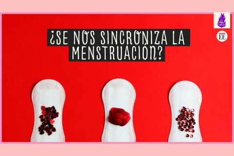 Mito o realidad: ¿Se pueden sincronizar las menstruaciones?
