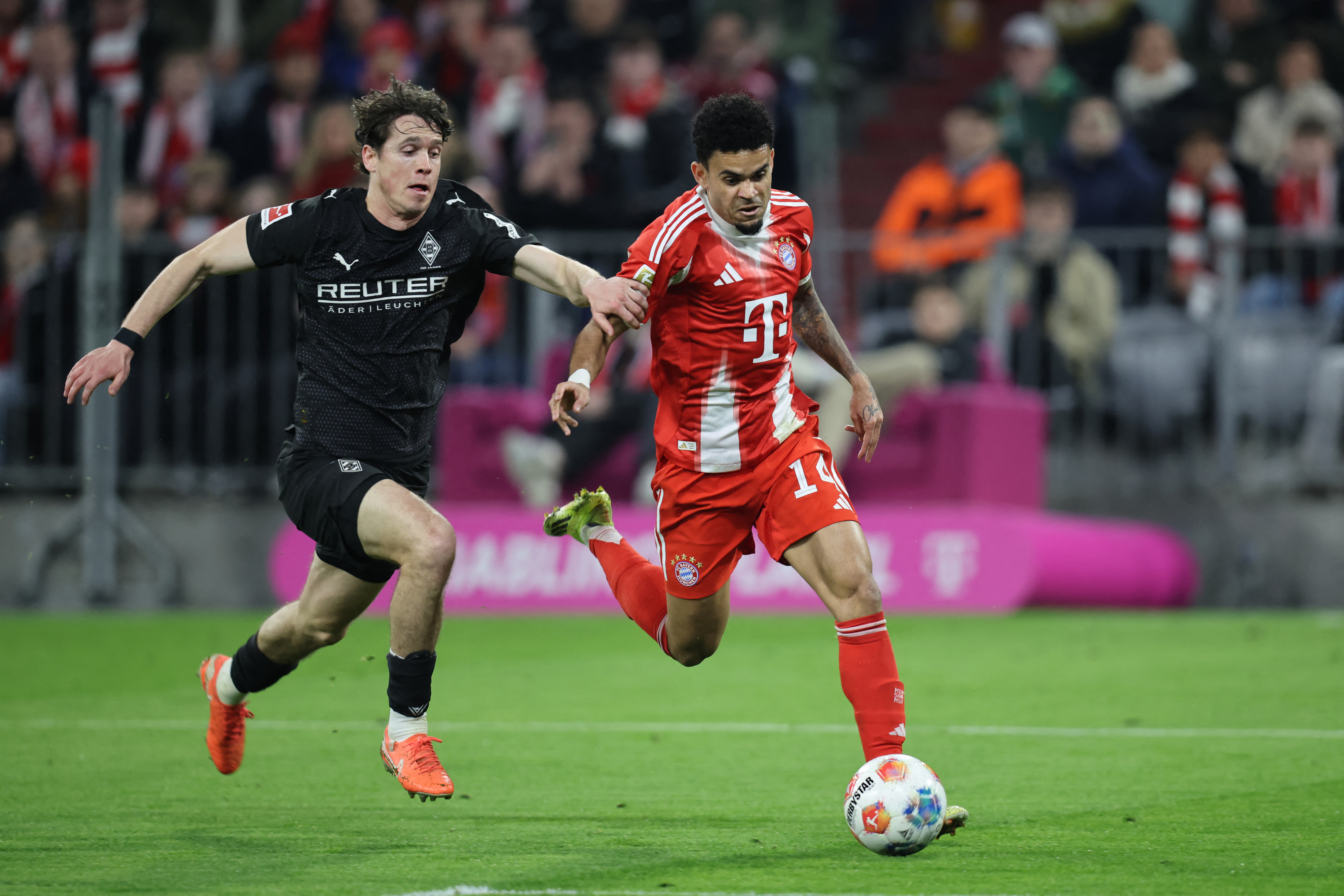 Luis Díaz en un duelo durante el partido Bayern Múnich vs. Borussia Mönchengladbach por la fecha 25 de la Bundesliga 2025/26.