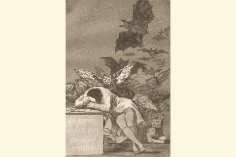 Francisco de Goya y el lado oscuro de la Ilustración (El teatro de la historia)