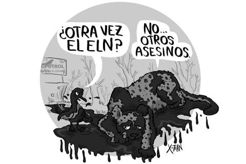 Crudo desastre