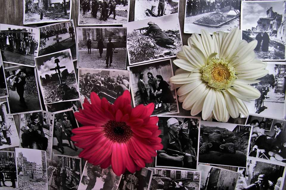 Pixabay.